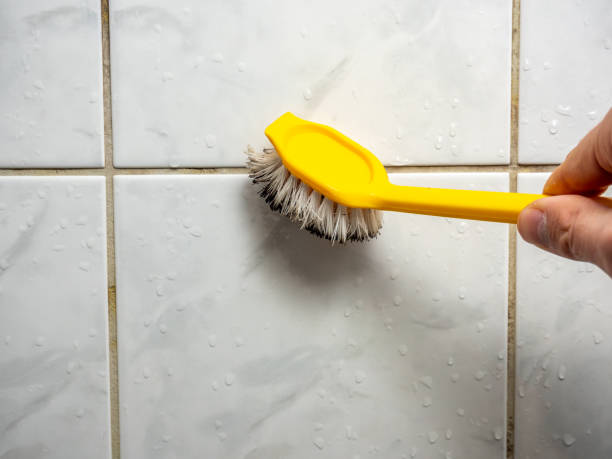 Home Mold Removal in Galesburg, MI