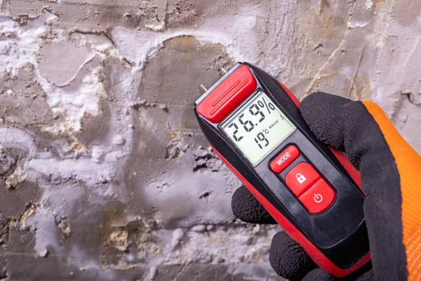 Galesburg, MI Mold Removal Company