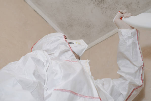 Crawl Space Mold Removal in Galesburg, MI