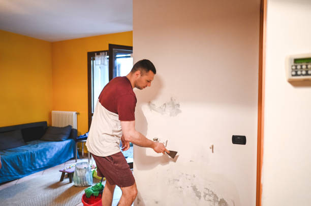 Best Local Mold Removal Service  in Galesburg, MI